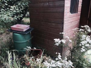 Allotment shed water butt