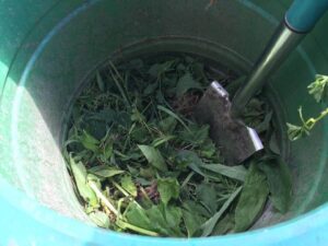 Making compost tea
