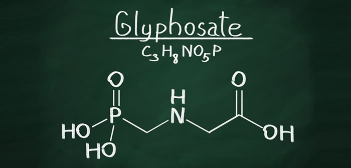Glyphosate Weed Killer