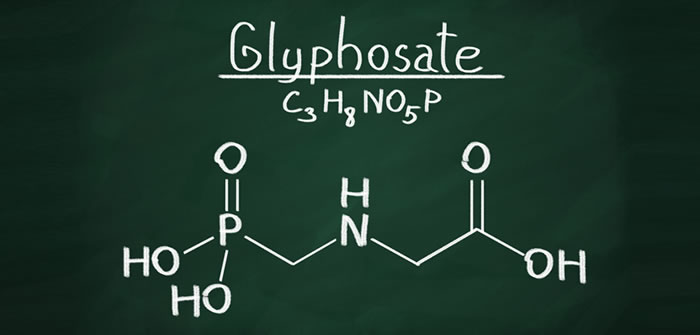 Glyphosate (Roundup) weed killer – should you use it? Glyphosate Weed Killer