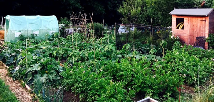 Allotment Jobs for July