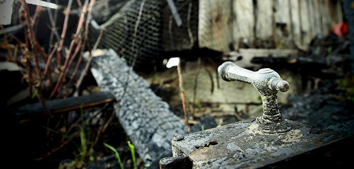 Over 1/3 of allotments attacked in 2017?