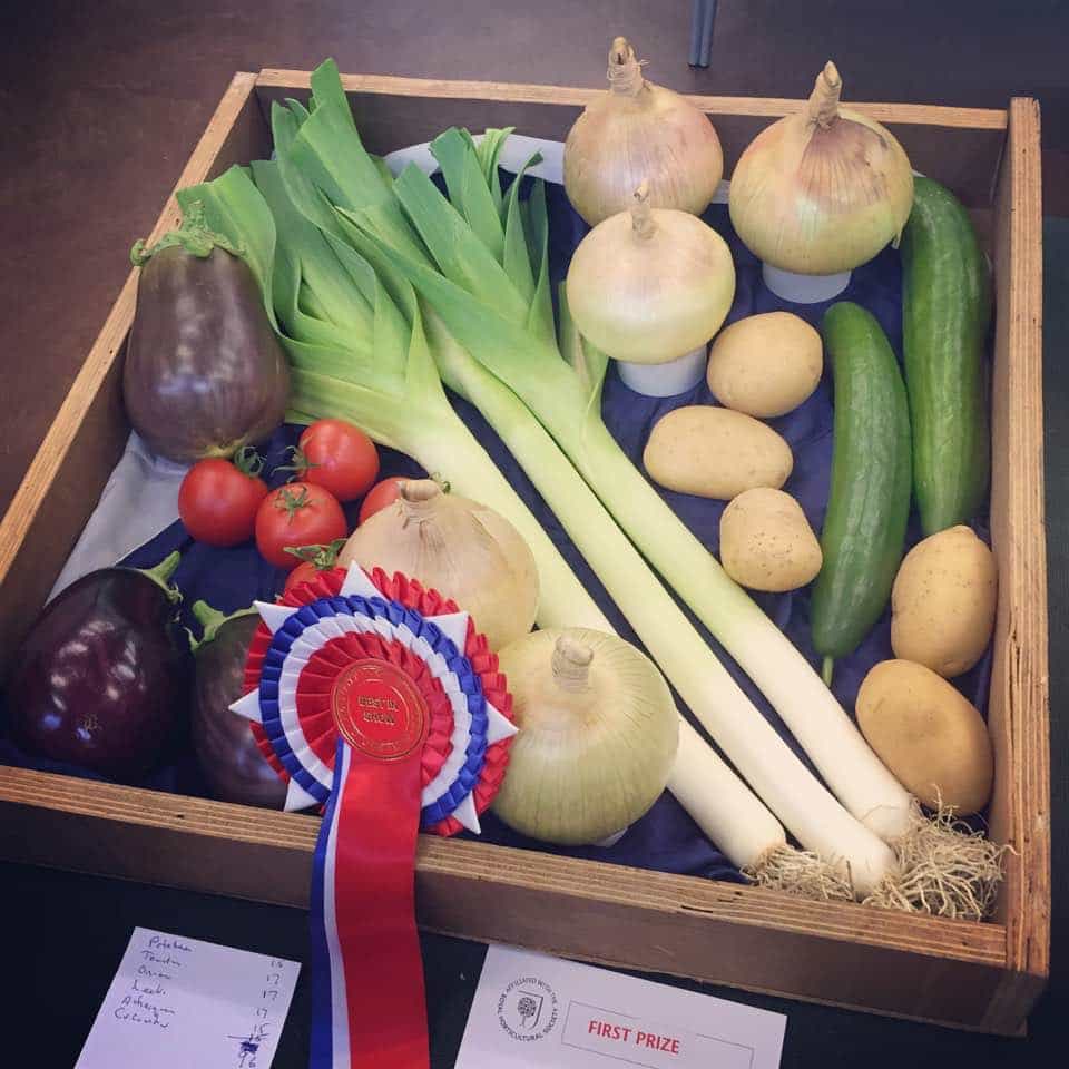 The Importance of Local Flower Shows Grow Like Grandad