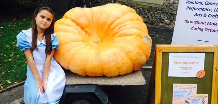 Alice in Pumpkinland – Dorking’s 10th Annual Squash & Pumpkin Show Alice in Pumpkinland