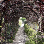 Loseley Park Gardens