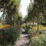 Loseley Park Gardens