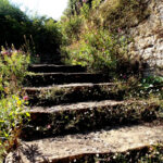 Loseley Park Gardens