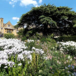 Hidcote