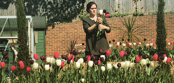 2017 A Year in Review: The Garden