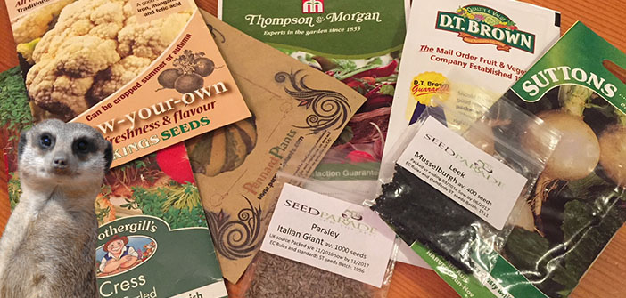 Comparing Vegetable Seed Prices Vegetable seed supplier pricing