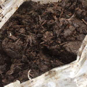 Mr Watmore's Zoo Poo Bag