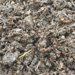 Mr Watmore's Zoo Poo Consistency