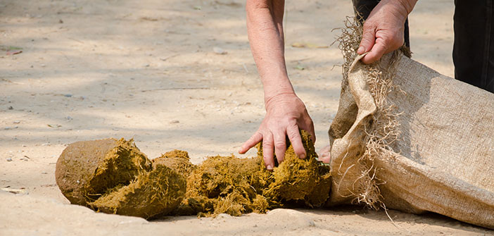 Zoo Poo – an exotic manure for the garden or allotment Zoo Poo Manure