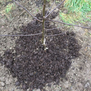 Mr Watmore's Zoo Poo Mulch