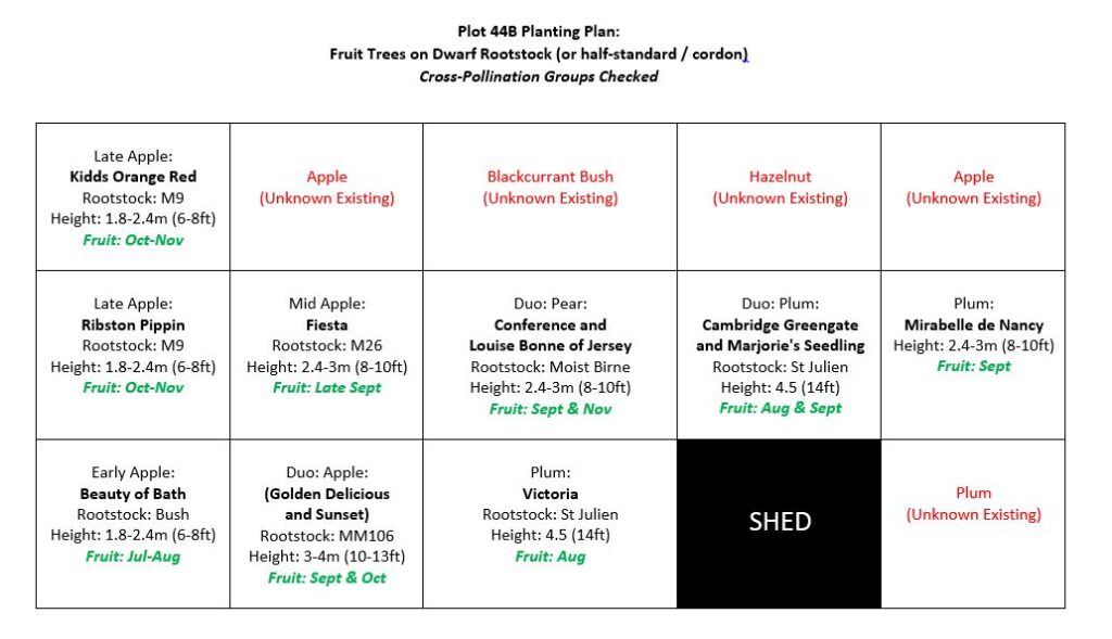 My allotment orchard planting plan at plot 44B