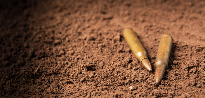 Guns and Gardening (Yes, Bear with Me).