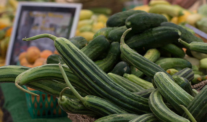 Armenian Cucumbers