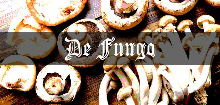 Mushrooms & Mandrakes: Medieval Grow Your Own