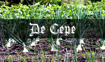 How to Grow Onions: Medieval Grow Your Own