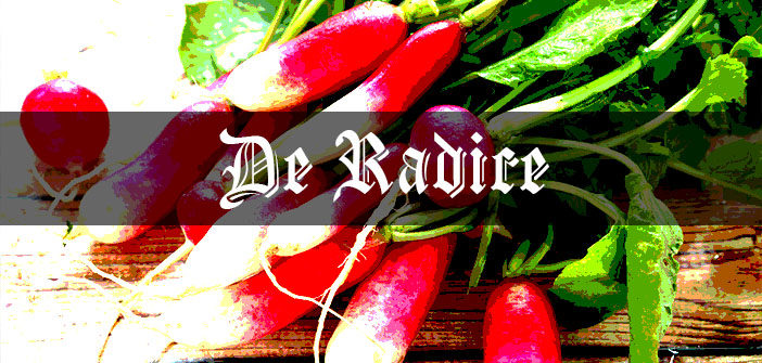 Radishes: Medieval Grow Your Own