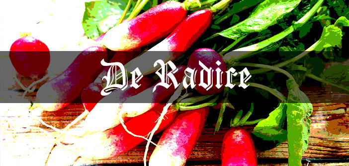Radishes: Medieval Grow Your Own Radishes: Medieval Grow Your Own