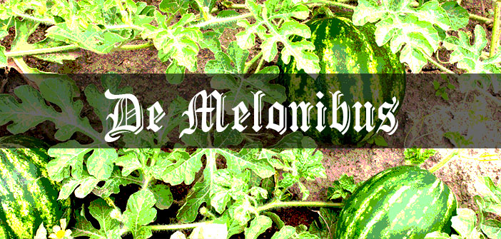 Watermelons and Cucumbers: Medieval Grow Your Own