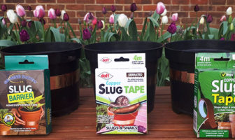 Does copper tape stop slugs and snails? It depends…