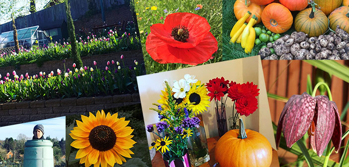 The instant boxes aren’t working. Try Gardening #NationalGardeningWeek