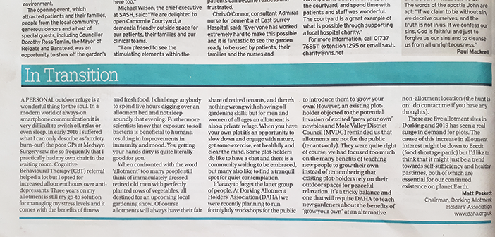 Remembering that allotments are good for the soul