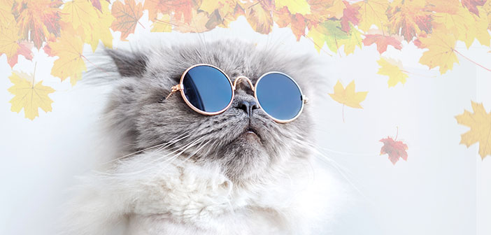 Why gardening isn’t, and shouldn’t be, ‘cool’