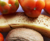 How to ripen green tomatoes – ethylene borrowing