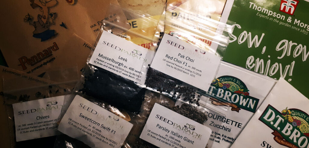 Vegetable seeds – price comparison for 2021