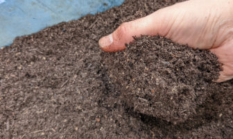 Indoor seed sowing - peat-free compost, worm casts and mole hills