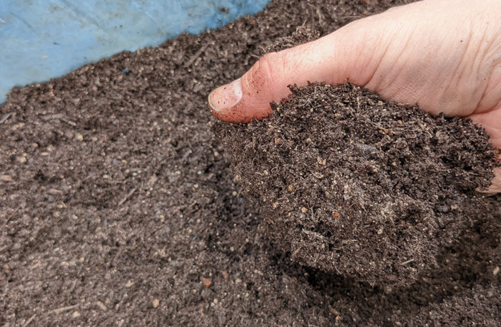 Indoor seed sowing - peat-free compost, worm casts and mole hills